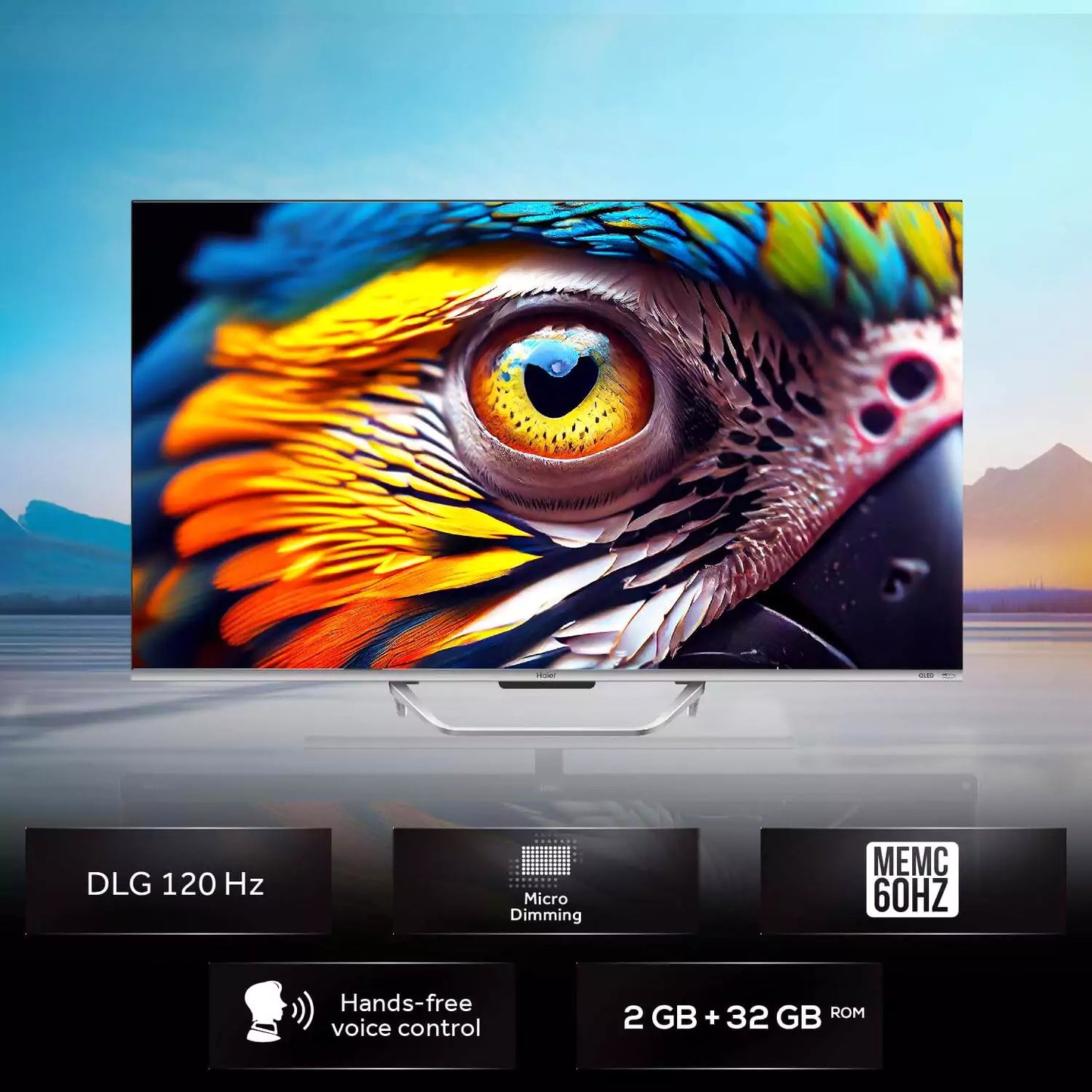 Haier 139 cm (55 inches) QLED -Smart Google TV 55S800QT (GREY)