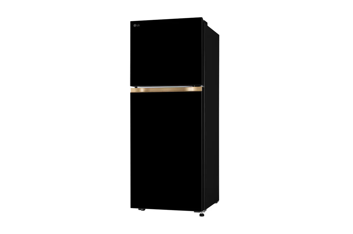 LG 225L Double Door Refrigerator with Smart Mode, Auto Smart Connect, Smart Inverter Compressor, Multi Air Flow, Onyx Black, 1 Star GLT2216WYOB