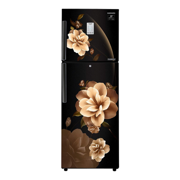 Samsung 253 L 2 Star Inverter Frost-Free Double Door Refrigerator (RT28T3932CB/HL, Camellia Black, Convertible)